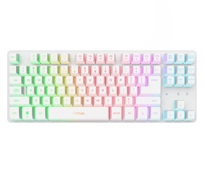Klawiatura  przewodowa Trust GXT833 THADO TKL KEYBOARD WHT US